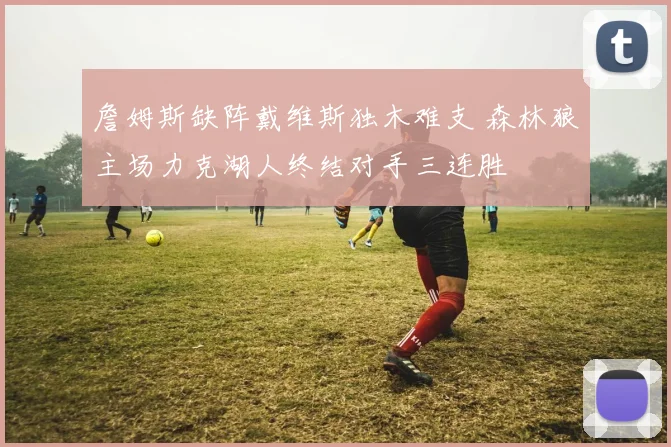 詹姆斯缺阵戴维斯独木难支 森林狼主场力克湖人终结对手三连胜