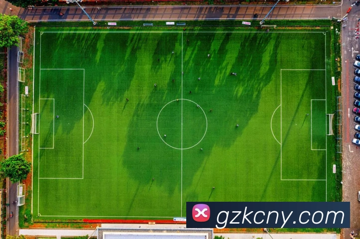 买球官方平台生态图