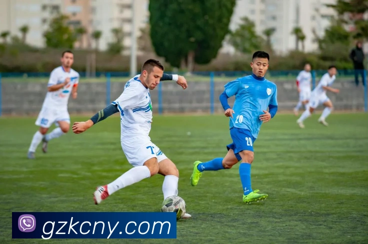 买球官方APP 封面图